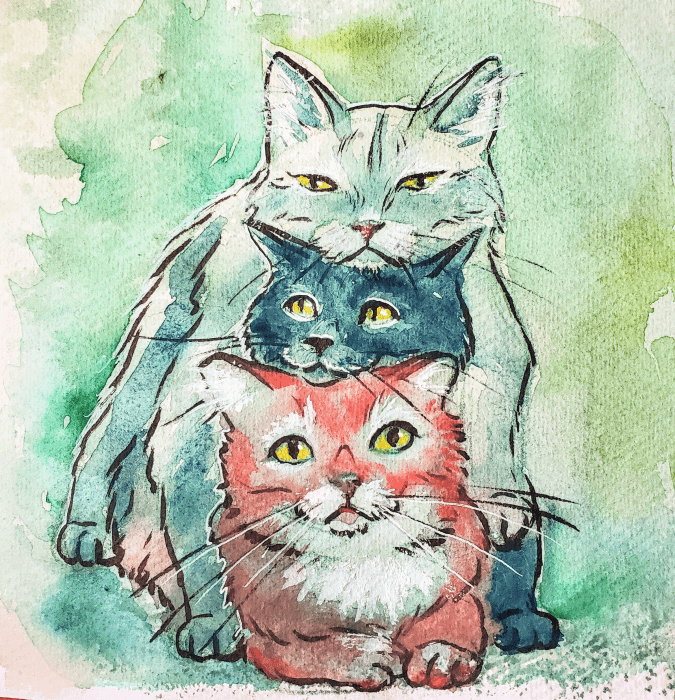 Three stacked cats