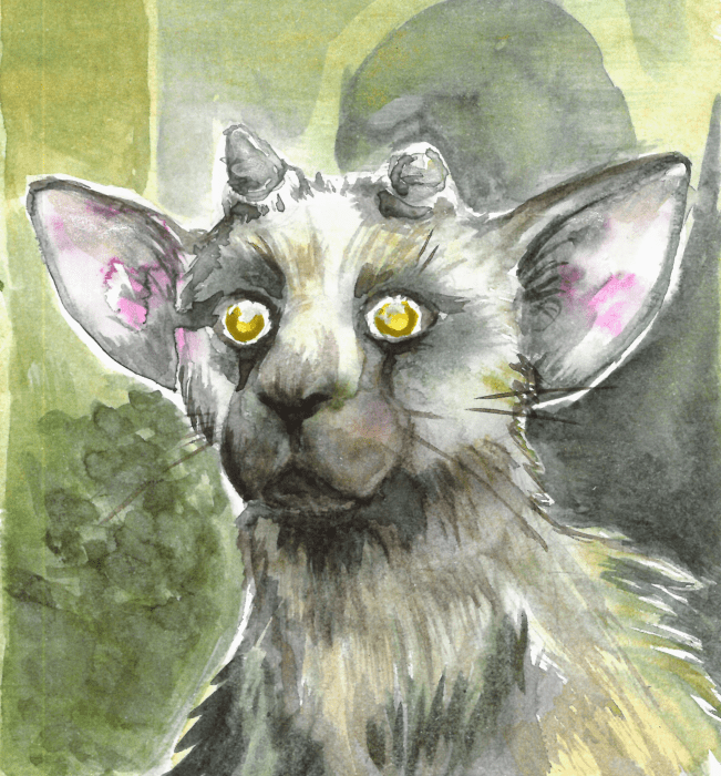 Trico, the Last Guardian