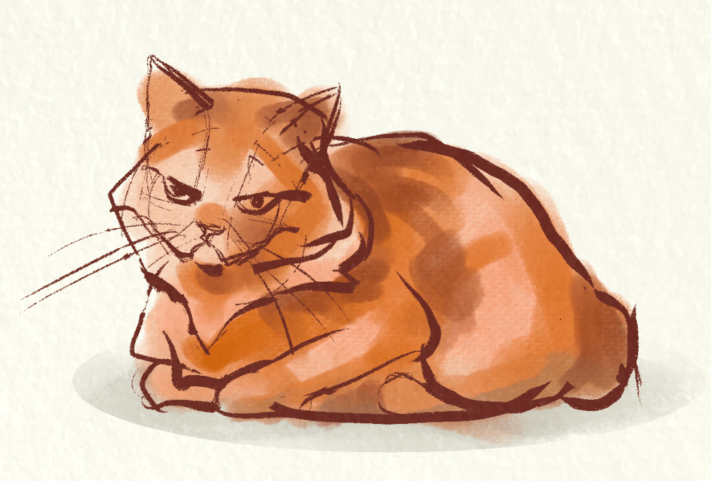 Grumpy Orange Cat